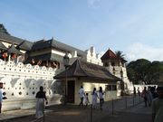 キャンディの仏歯寺