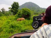 ミンネリア国立公園でジープサファリ