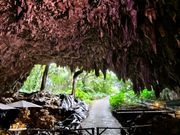 出発前にドリンク