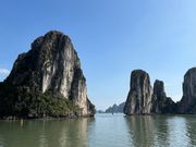 クルーズの一枚