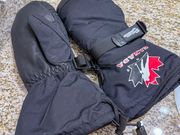 レンタルの手袋