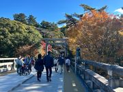 12月1週目まだ紅葉が見られました