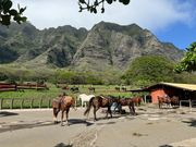 最高でした！オススメです。