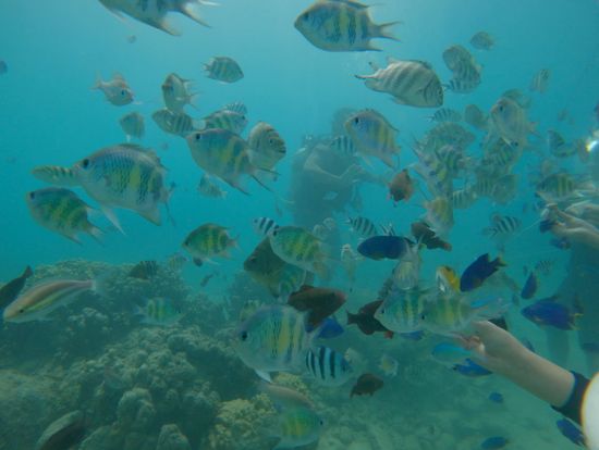 アクアウォーク