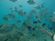 アクアウォーク