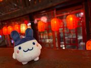 九份を満喫するみみっち