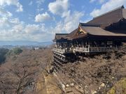 冬だからこそ見える「貫接合」工法