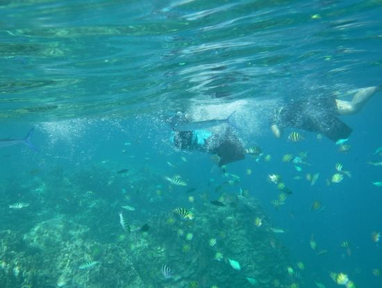 シュノーケリング