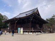 仁和寺の特別拝観の観音堂