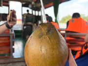 天然ココナッツ