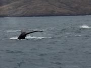 最高の出会い！