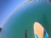 良いお天気でした