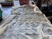 出来立てのココナッツシュガー