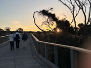 ペンギンパレードへ向かう道。
夕日が美しい。日が沈んだ後は星空がとってもきれい。