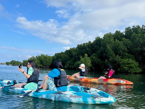 カヤックでマングローブ🌳