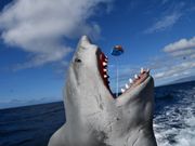 ガイドさんが撮ってくれました♪