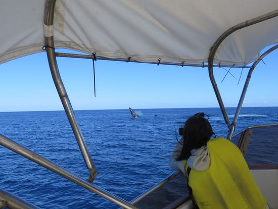 いきなりのジャンプ