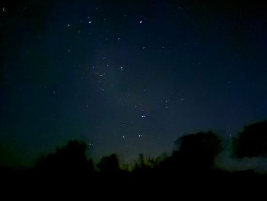 ピナクルズ入口での星空鑑賞。半球いっぱいに星が広がります。南十字星(写真下部)もくっきり見えました。