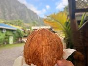 トロピカルファーム