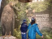 西表島 野生生物保護センター