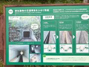 西表島の野生動物の交通事故を防ぐ取組の説明