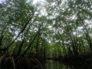 素敵な写真いただきました