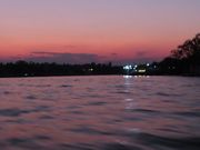 蛍観賞リバークルーズ