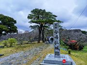 今帰仁城跡です