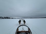 ハスキーちゃんたちと湖から森林へ。