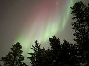 何となくそれらしいのが撮れた