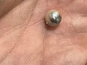 ミックスカラー！