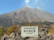 雄大な桜島に感動