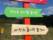 ピクニックの場所