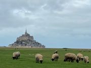 羊とモン・サン・ミシェル