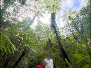美しい金作原原生林に包まれて