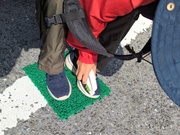 「外来種や病原菌」を持ち込まない様に原生林散策前に靴についた泥をはらう