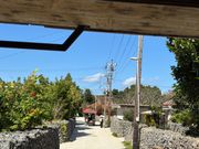 竹富島、観光水牛車からの風景