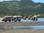 水牛車は、かなりの台数がある