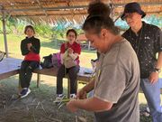 ハイビスカスの葉で作る🐟の体験