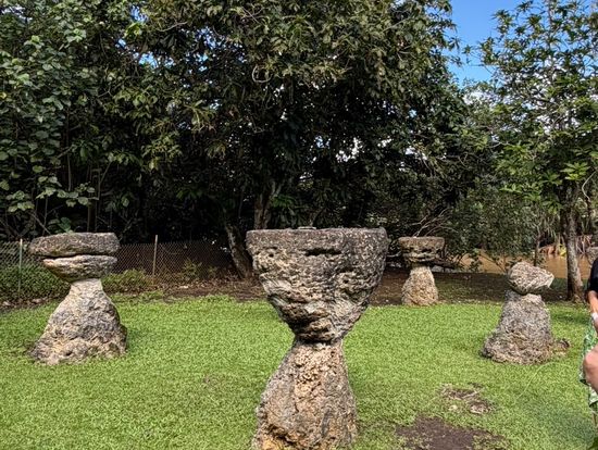 高床式お家の土台