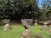 高床式お家の土台