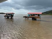 由布島に渡る水牛車