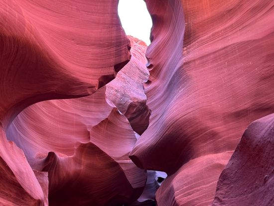 人生初グランドキャニオン