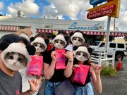 レナーズのマラサダ美味しかったです