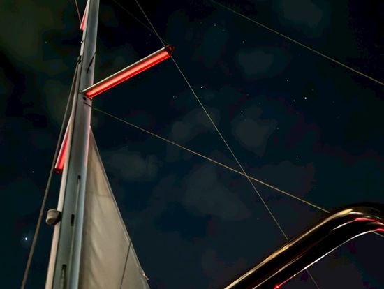 大きな船で揺れません