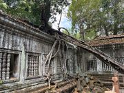 探検しているみたいでワクワクします