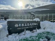 福井県立恐竜博物館