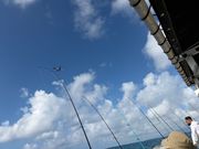 飛行機も見ながら