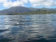 ワイキキとも違うハワイの自然