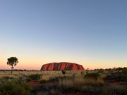サンセット会場からのウルルは最高に綺麗でした！